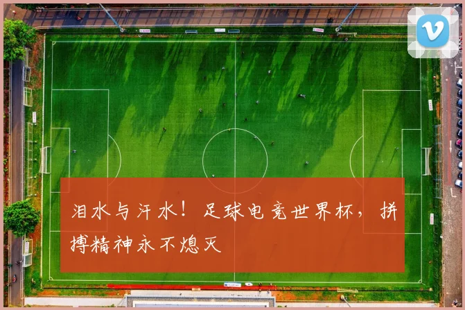 泪水与汗水！足球电竞世界杯，拼搏精神永不熄灭