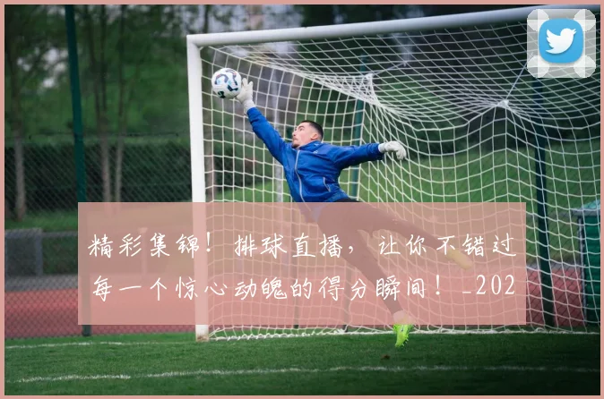 精彩集锦!排球直播,让你不错过每一个惊心动魄的得分瞬间!_20260708201053